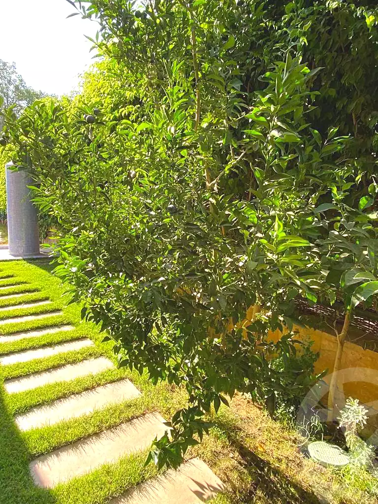 فيلا بـ٦ غرف نوم في بلاجيو، صورة ١١ من ٣٤