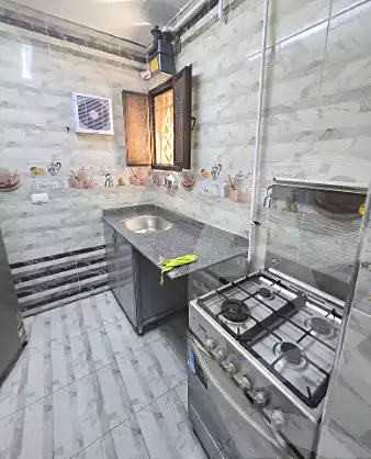 https://aqarmap.com.eg/en/listing/7063630-for-rent-cairo-manial-el-rawda-st