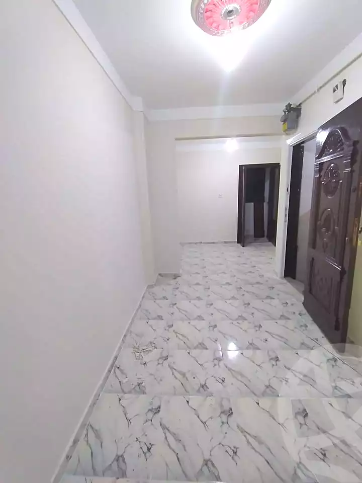 https://aqarmap.com.eg/ar/listing/7067772-for-sale-alexandria-lsywf-el-falki-street-16-el-eslah