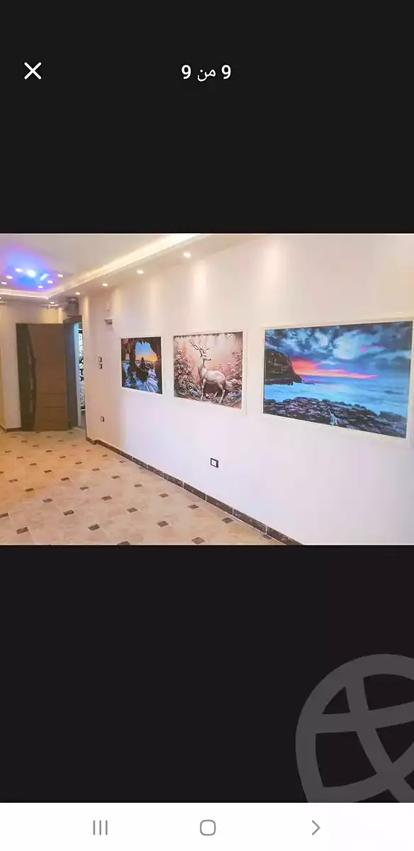 https://aqarmap.com.eg/en/listing/7068711-for-sale-alexandria-lsywf-el-falki-street-16-el-eslah