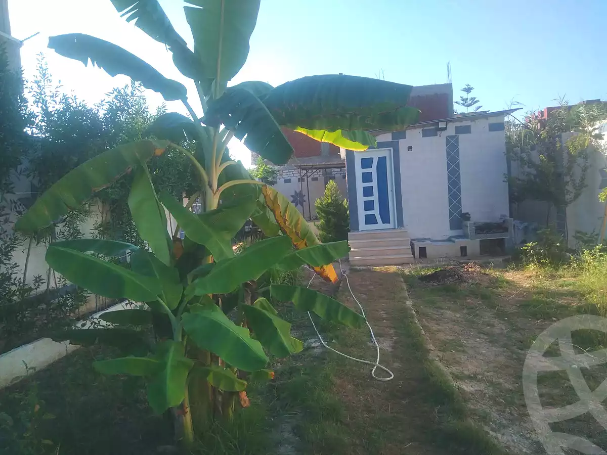 https://aqarmap.com.eg/ar/listing/7069120-for-sale-alexandria-abu-talat