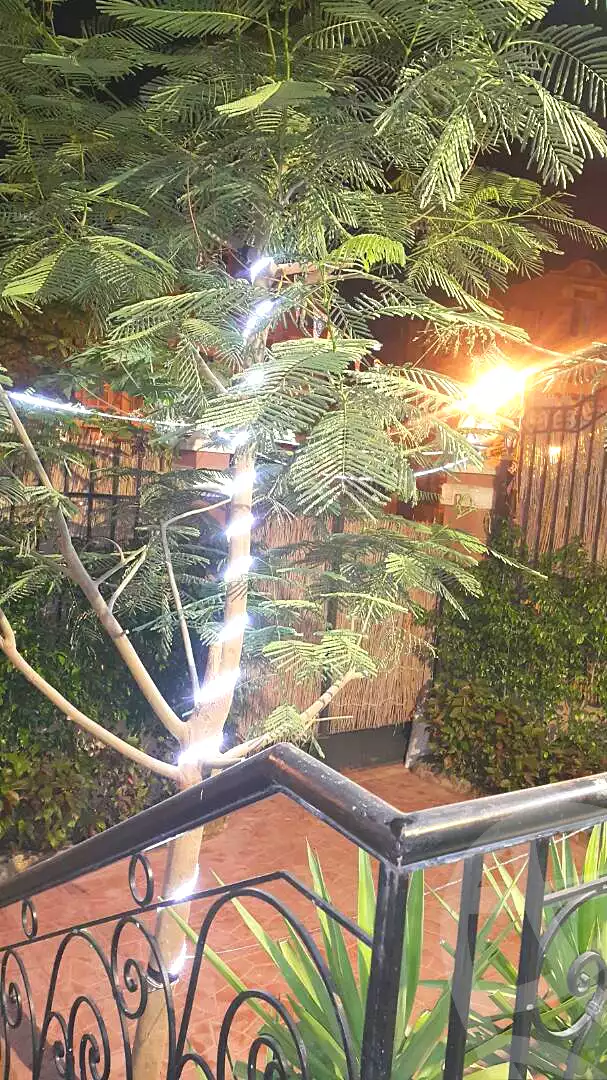شقة بـ٣ غرف نوم في Continental Gardens، صورة ١٣ من ١٣
