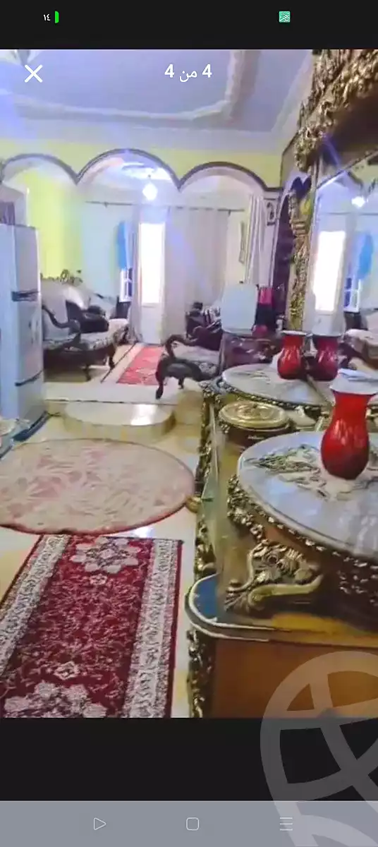 https://aqarmap.com.eg/en/listing/7079505-for-sale-alexandria-al-agamy-el-hanouvel-el-kholafaa-el-rashdeen-st