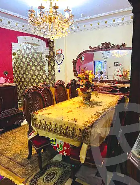 https://aqarmap.com.eg/en/listing/7079845-for-sale-alexandria-al-agamy-lbytsh-qased-kareem-st