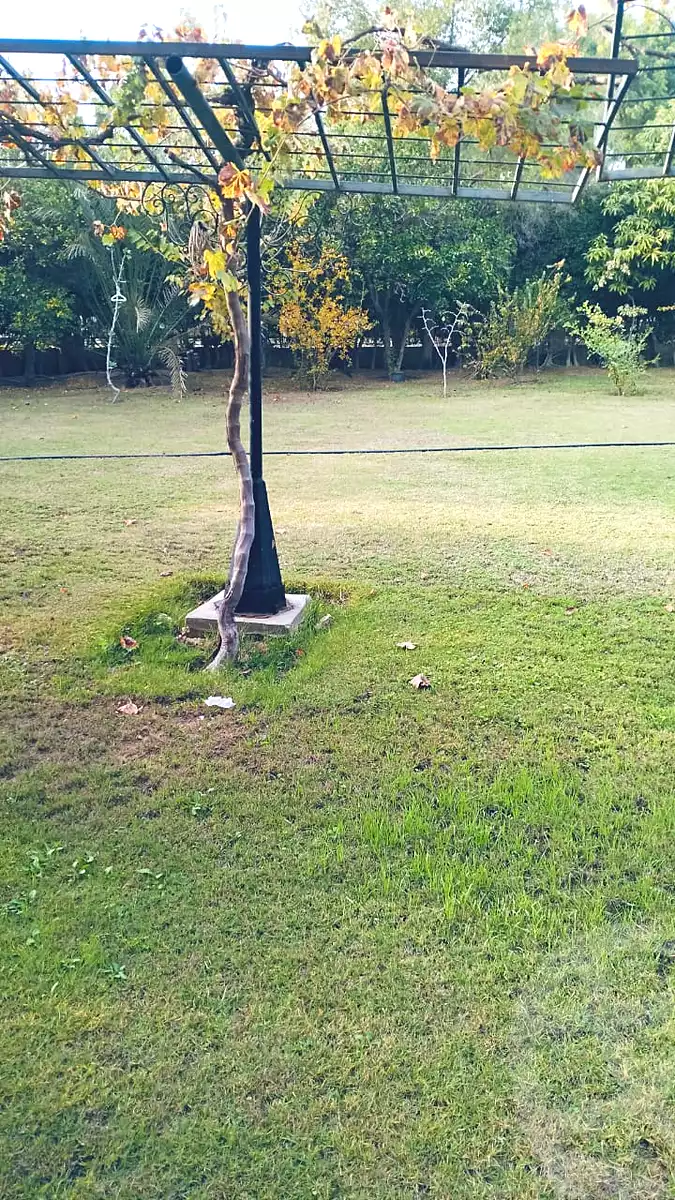 فيلا بـ٦ غرف نوم في الربوة، صورة ٢٥ من ٢٨