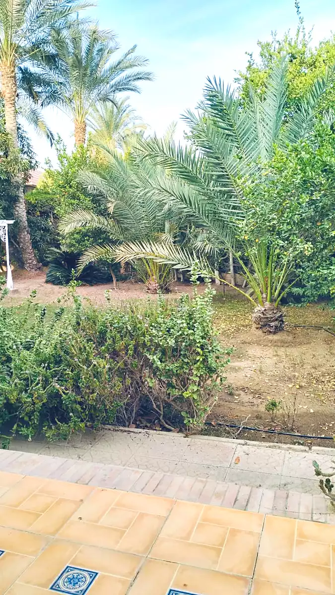 فيلا بـ٦ غرف نوم في الربوة، صورة ٢٧ من ٢٨