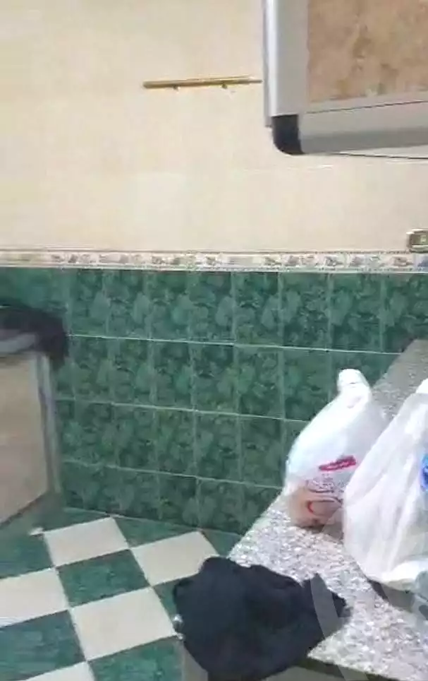 https://aqarmap.com.eg/ar/listing/7080869-for-sale-cairo-el-haram-shareaa-el-talateny