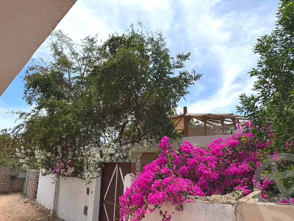 https://aqarmap.com.eg/en/listing/7086296-for-rent-jnwb-syn-dahb-nadira-compound-dahab