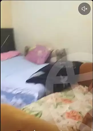 https://aqarmap.com.eg/en/listing/7087366-for-rent-cairo-el-haram-bolak-el-dakror-zenein