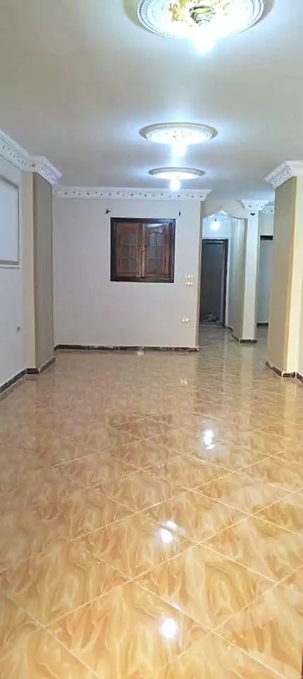 https://aqarmap.com.eg/ar/listing/7087781-for-sale-alexandria-al-agamy-el-hanouvel-kasr-al-quiri-st-1