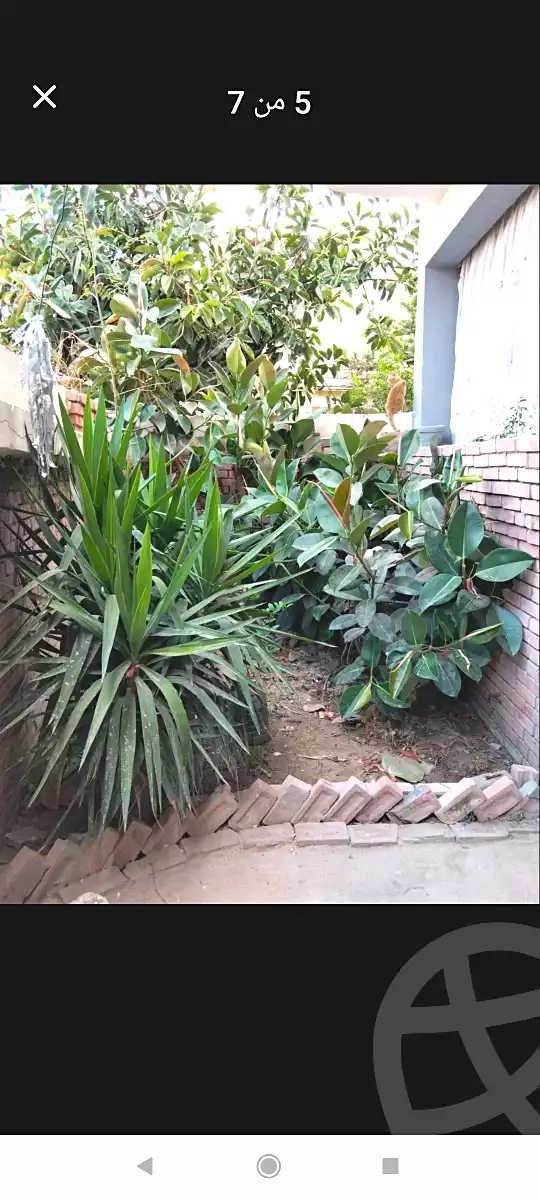 https://aqarmap.com.eg/en/listing/7088116-for-sale-alexandria-al-agamy-el-hanouvel-al-asdakaa-st