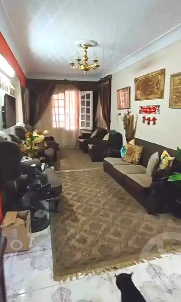 https://aqarmap.com.eg/en/listing/7088105-for-sale-alexandria-miami-abou-el-arab-st