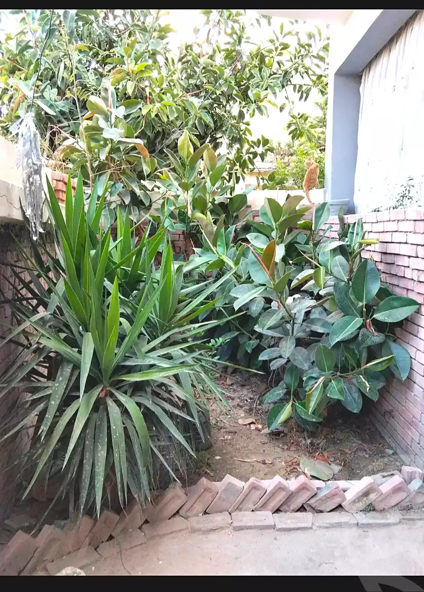 https://aqarmap.com.eg/ar/listing/7090667-for-sale-alexandria-al-agamy-el-hanouvel-el-attar-st