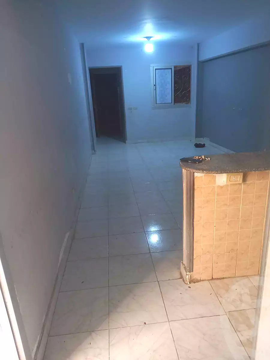 https://aqarmap.com.eg/en/listing/7094803-for-sale-alexandria-el-mandara-nabawy-al-mohandes-st
