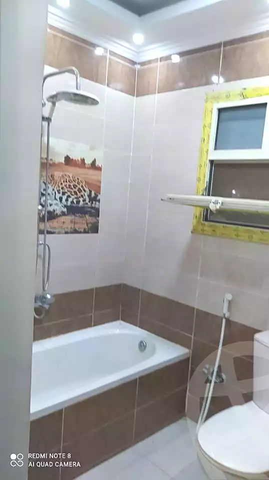 https://aqarmap.com.eg/en/listing/7096519-for-rent-cairo-faisal