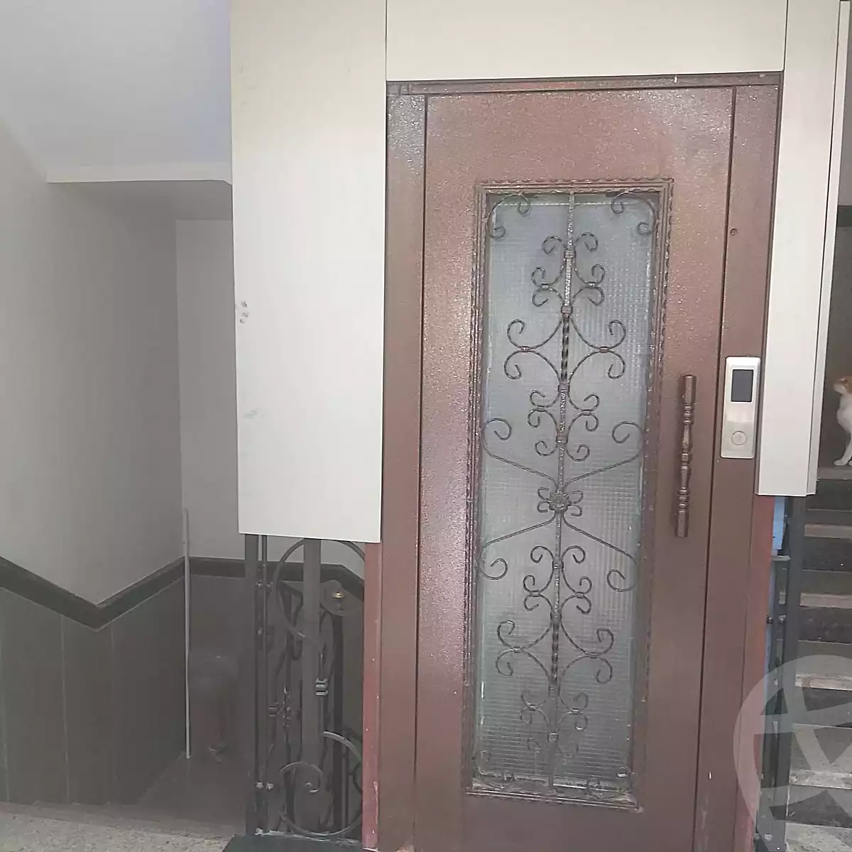 https://aqarmap.com.eg/ar/listing/7097699-for-sale-cairo-new-cairo-el-ahyaa-first-neighborhood-street-1
