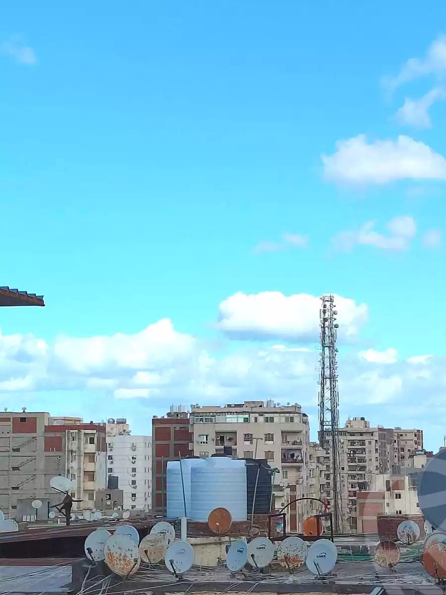 https://aqarmap.com.eg/en/listing/7098900-for-sale-alexandria-miami-mahmoud-el-isawy-st