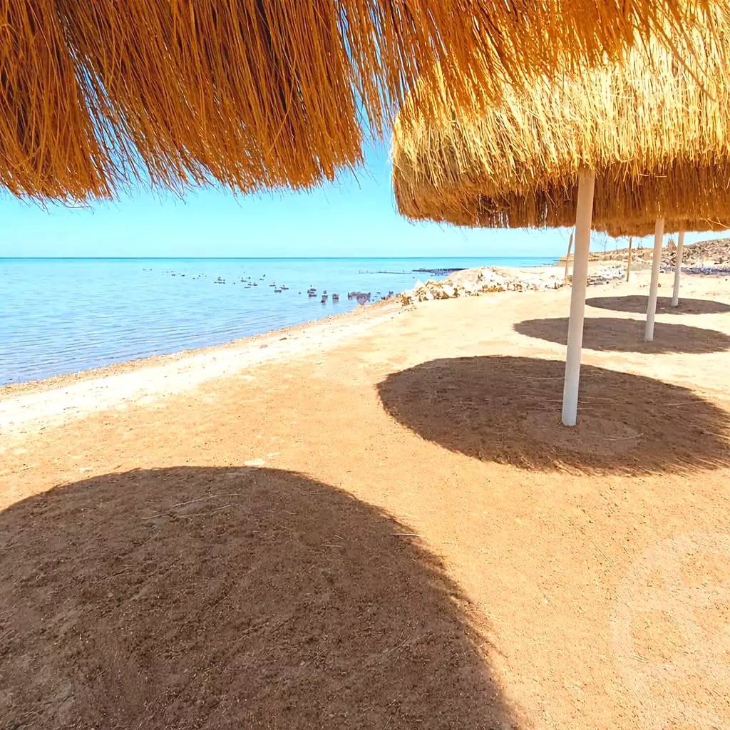 https://aqarmap.com.eg/ar/listing/7099671-for-sale-red-sea-el-ahyaa