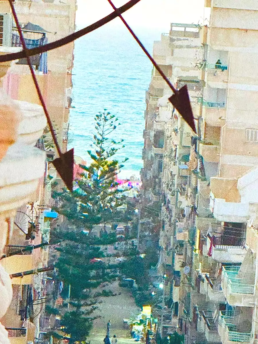 https://aqarmap.com.eg/ar/listing/7100009-for-sale-alexandria-al-agamy-shataa-el-nakheel