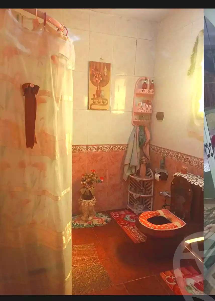 https://aqarmap.com.eg/en/listing/7101210-for-sale-alexandria-sydy-bshr-sydy-bshr-bhry-el-shaikh-hussein-soliman-18-st