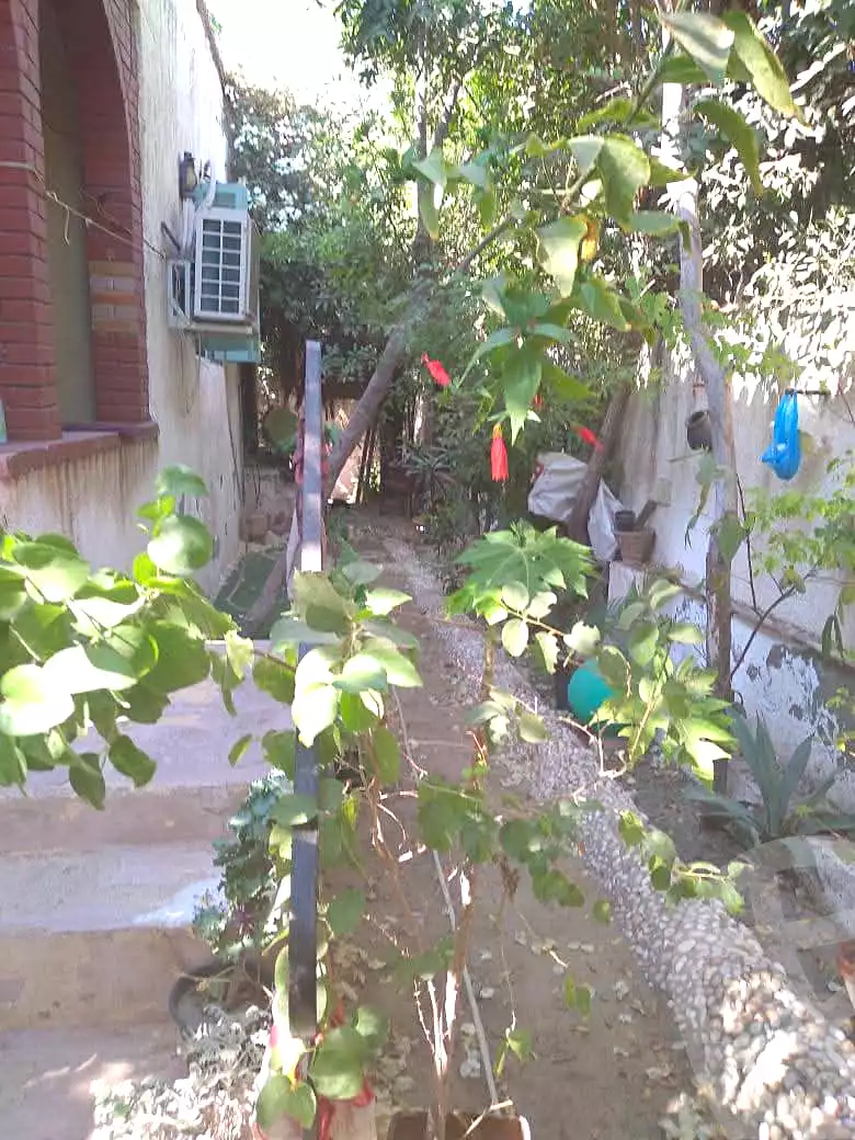 https://aqarmap.com.eg/ar/listing/7102543-for-rent-alexandria-al-agamy-lbytsh-shahr-al-assal-st