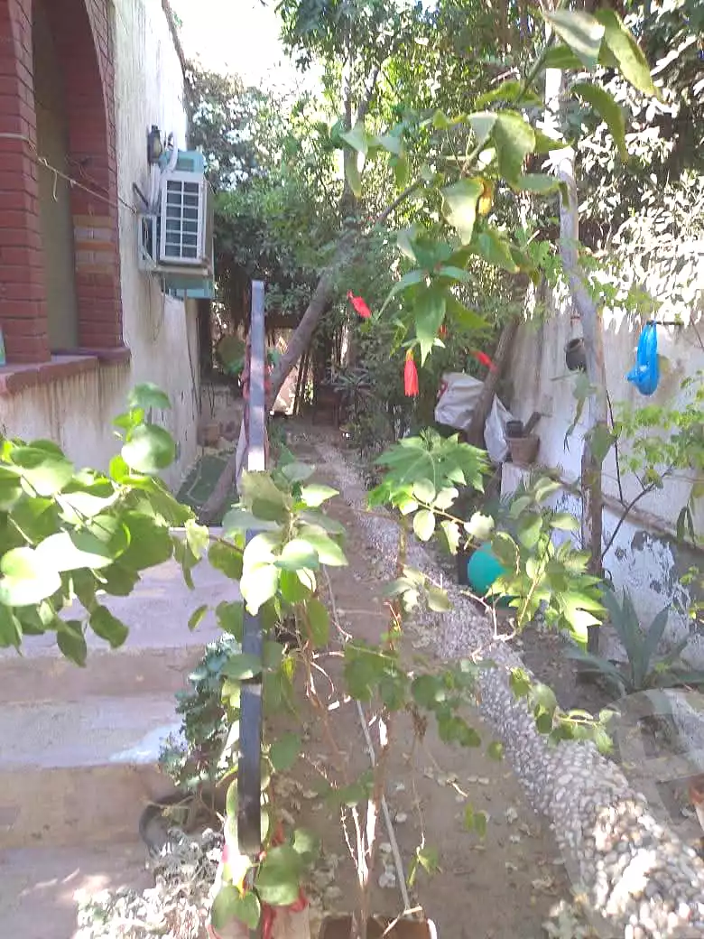 https://aqarmap.com.eg/ar/listing/7104859-for-rent-alexandria-al-agamy-lbytsh-el-batal-ahmed-abd-el-aziz-belbis-st