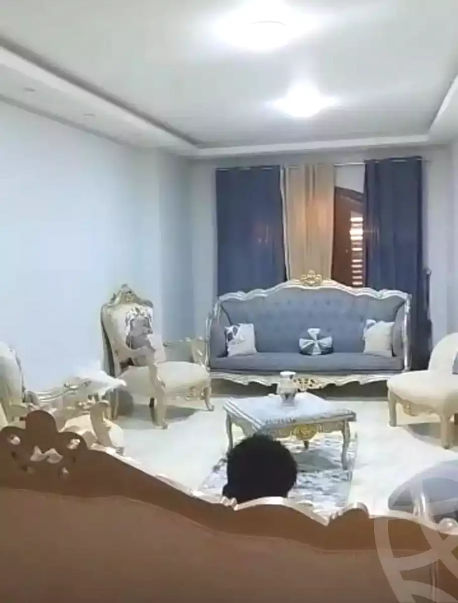 https://aqarmap.com.eg/en/listing/7106238-for-sale-cairo-faisal-hassan-mohamed-st