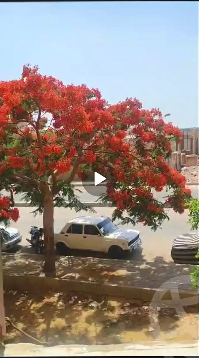 https://aqarmap.com.eg/ar/listing/7106674-for-sale-cairo-new-cairo-el-kattameya-kattameya-road