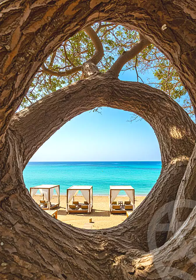 https://aqarmap.com.eg/ar/listing/7108980-for-sale-marsa-matruh-marsa-matrouh-resorts-marsa-baghush-resort-shehab-mazhar