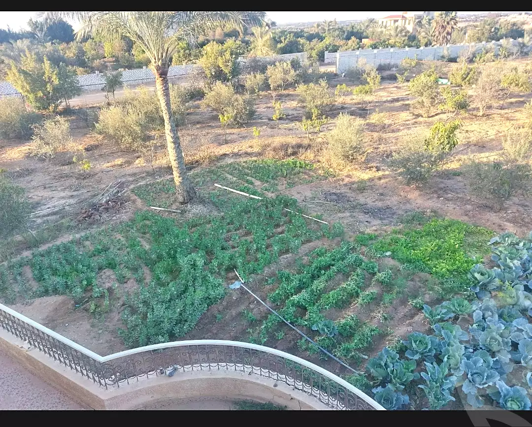 https://aqarmap.com.eg/ar/listing/7109252-for-sale-cairo-el-sheikh-zayed-city-lshykh-zyd-ljdyd-el-reef-el-oroby
