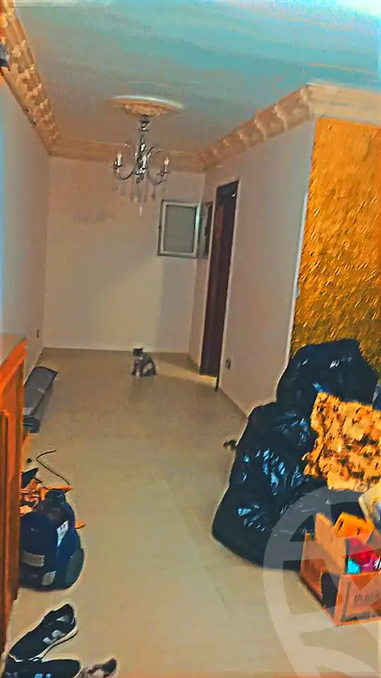 https://aqarmap.com.eg/ar/listing/7111022-for-rent-alexandria-sydy-bshr-sydy-bshr-bhry-gamal-abd-el-nasir-st
