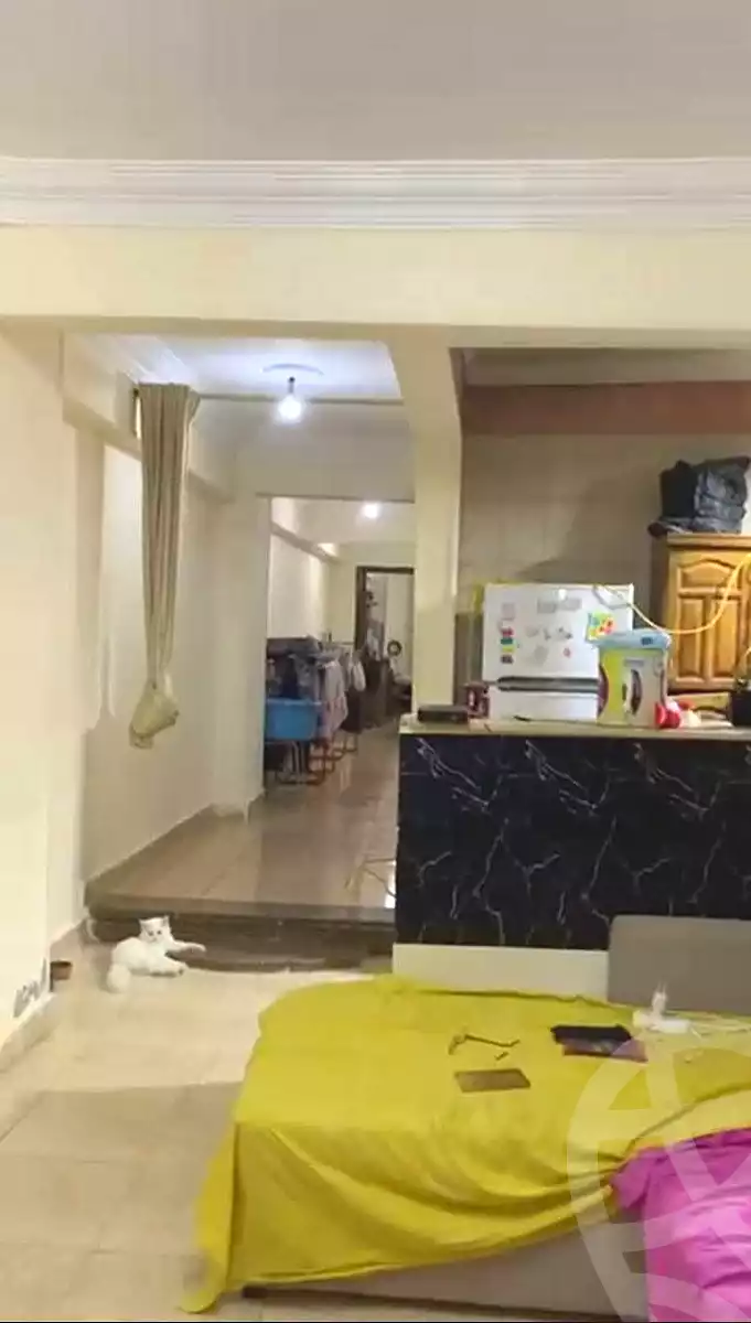 https://aqarmap.com.eg/en/listing/7111189-for-sale-cairo-faisal-el-maryotyah