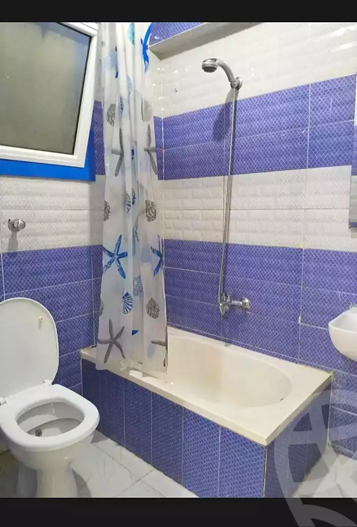 https://aqarmap.com.eg/en/listing/7111876-for-rent-alexandria-miami