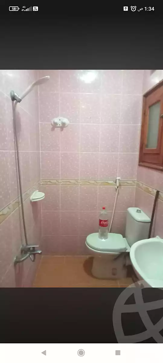 https://aqarmap.com.eg/en/listing/7111978-for-rent-alexandria-al-agamy-el-hanouvel-al-asdakaa-st