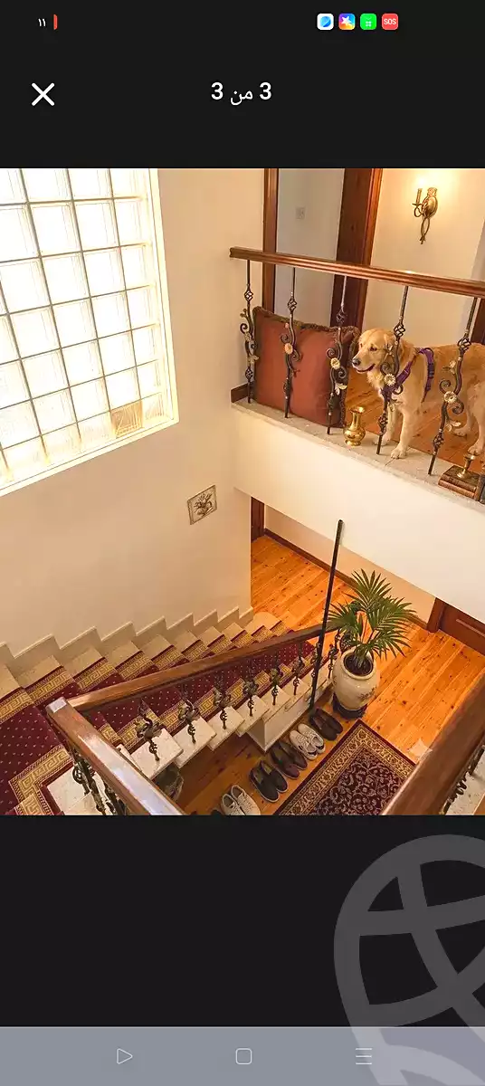 https://aqarmap.com.eg/ar/listing/7112034-for-sale-alexandria-sydy-bshr-sydy-bshr-bhry