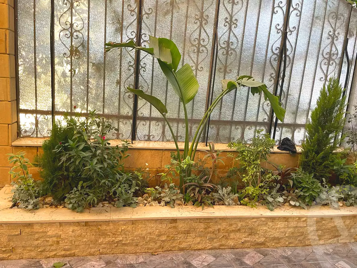 https://aqarmap.com.eg/ar/listing/7115841-for-sale-cairo-new-cairo-gharb-arabila-doctor-hani-maher-st