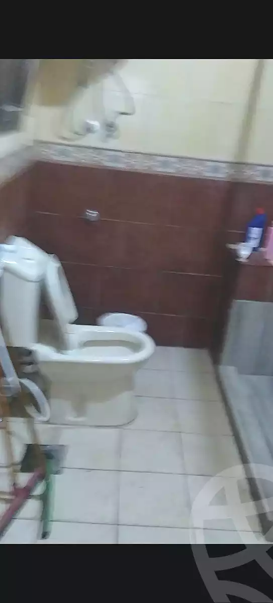 https://aqarmap.com.eg/en/listing/7115898-for-rent-cairo-nasr-city-abbas-el-akkad