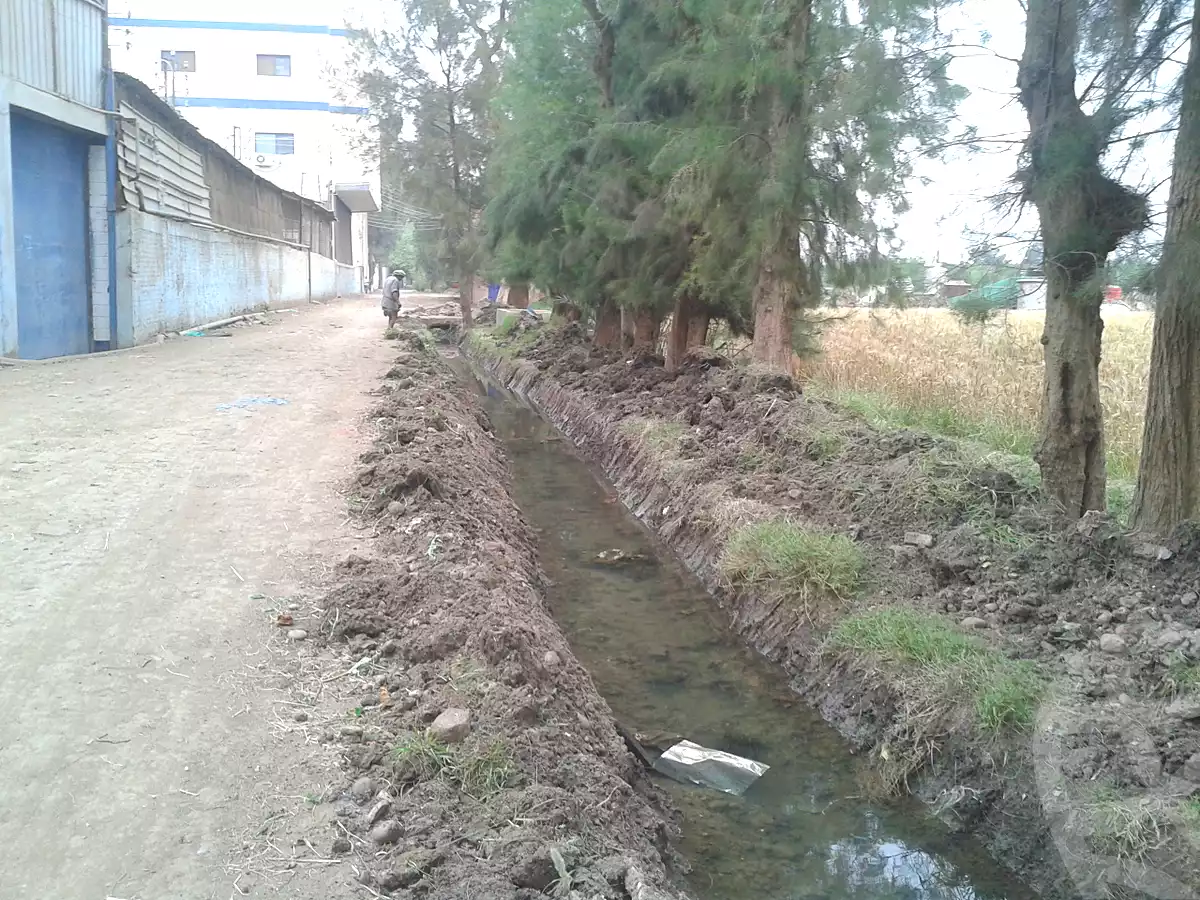 https://aqarmap.com.eg/en/listing/6868139-for-sale-monufia-ashmoun-kafr-kors