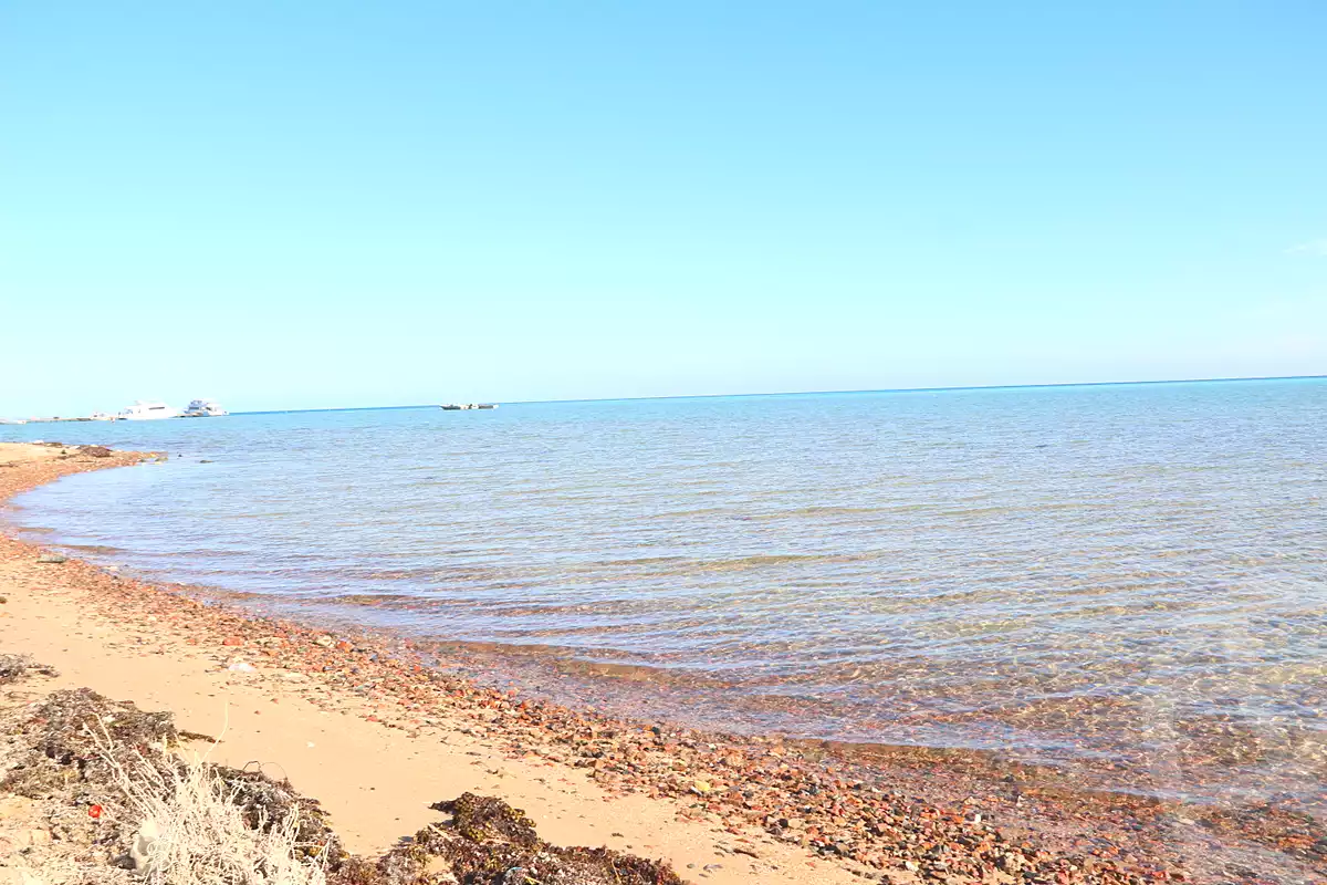 https://aqarmap.com.eg/en/listing/7122029-for-sale-red-sea-el-ahyaa