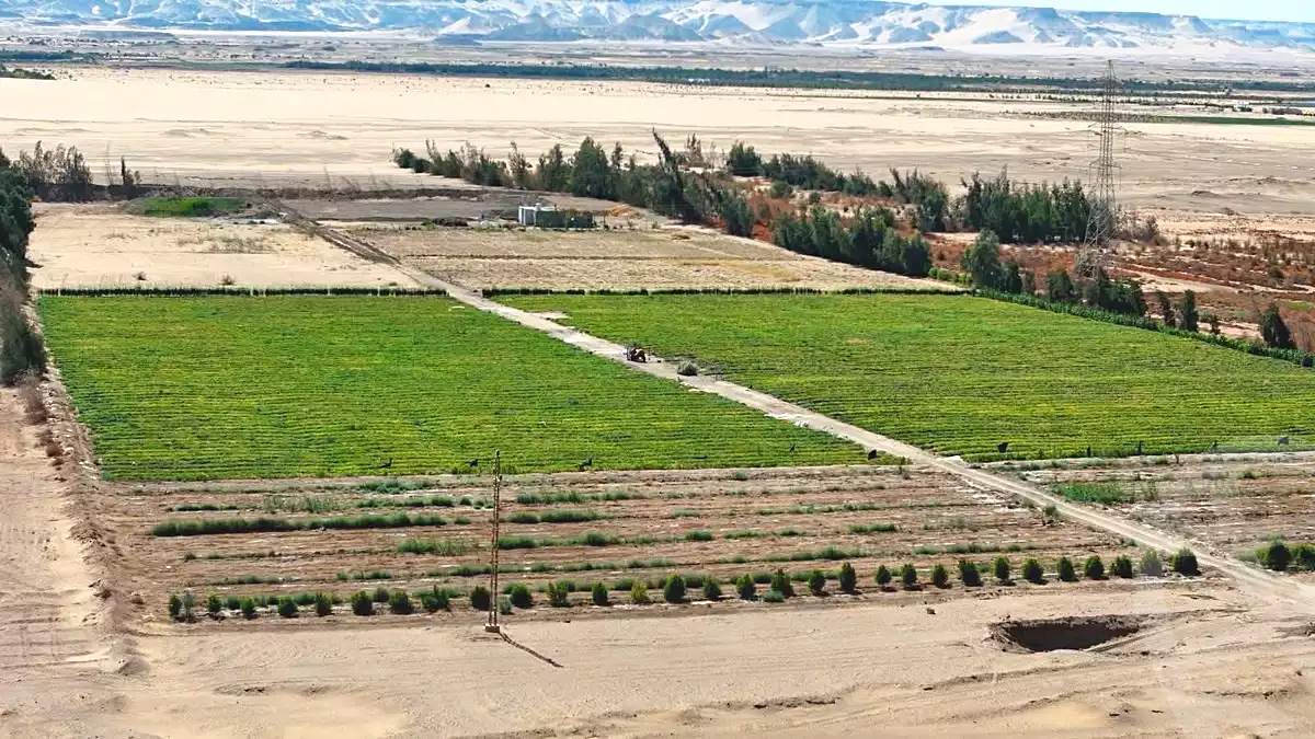 https://aqarmap.com.eg/ar/listing/7125303-for-sale-new-valley-kharga-oasis-hai-el-zhour