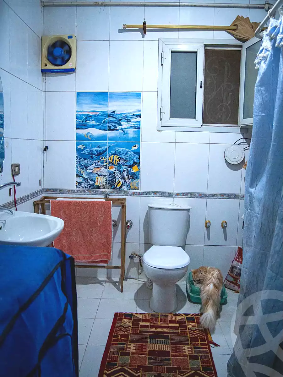 https://aqarmap.com.eg/en/listing/7128443-for-sale-cairo-el-zaytun-lzytwn-lshrqy