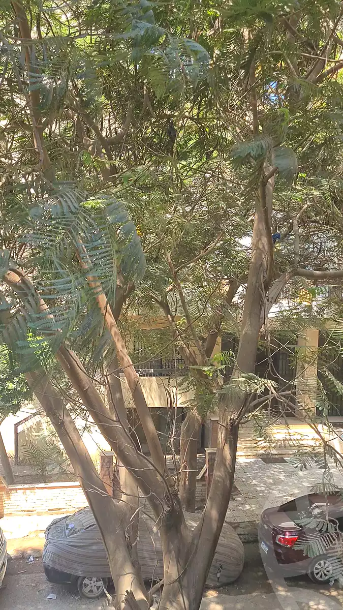 https://aqarmap.com.eg/ar/listing/7129779-for-sale-cairo-old-cairo-el-fostat-lfstt-ljdyd-neighborhood-2