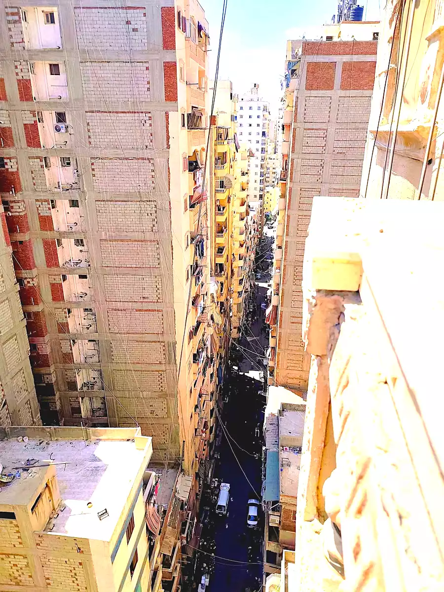 https://aqarmap.com.eg/ar/listing/7129809-for-rent-alexandria-el-asafra-l-sfr-bhry