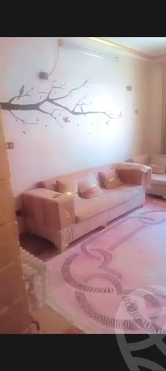 https://aqarmap.com.eg/ar/listing/7130485-for-sale-cairo-ain-shams
