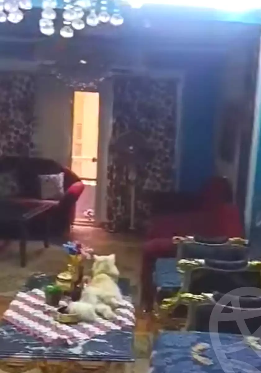 https://aqarmap.com.eg/en/listing/7130675-for-sale-cairo-shoubra-el-khalafwai