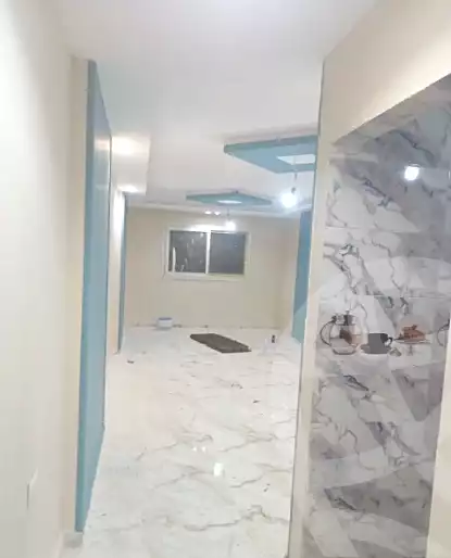 https://aqarmap.com.eg/en/listing/7133425-for-rent-cairo-faisal-hassan-mohamed-st