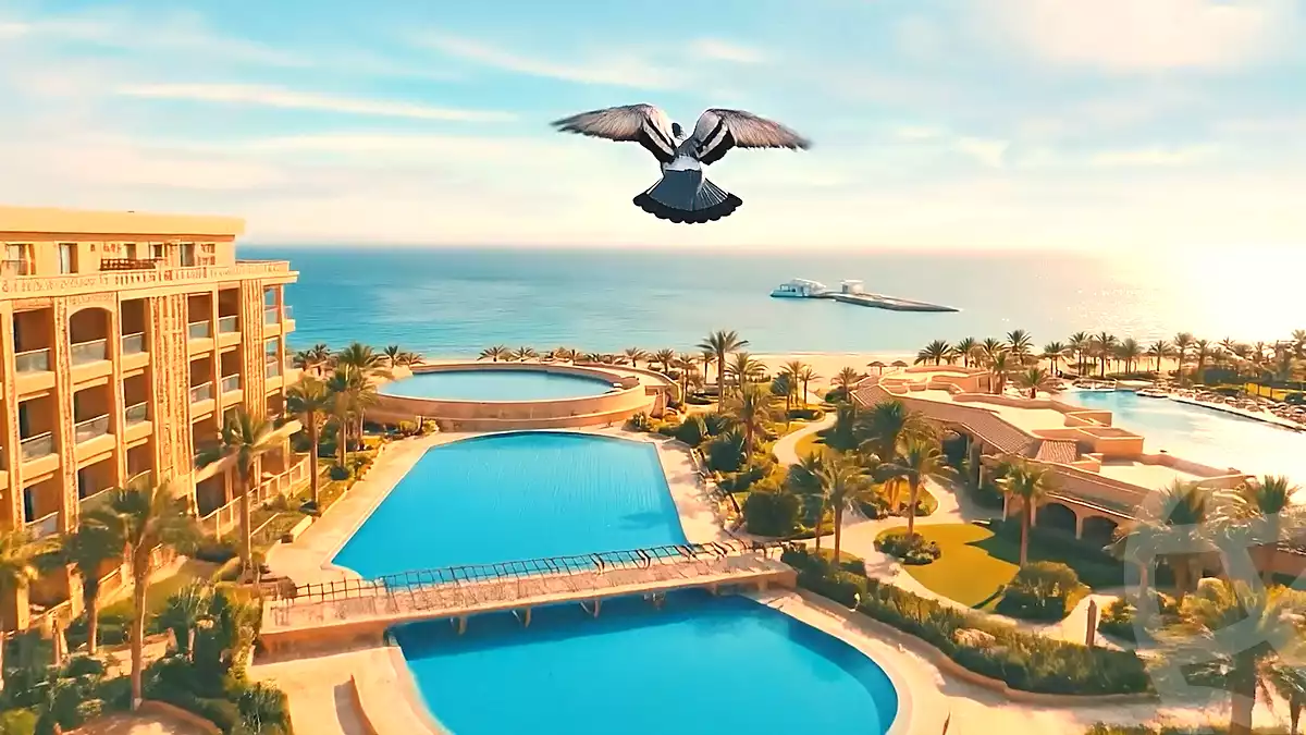 https://aqarmap.com.eg/en/listing/7133581-for-sale-red-sea-el-ahyaa