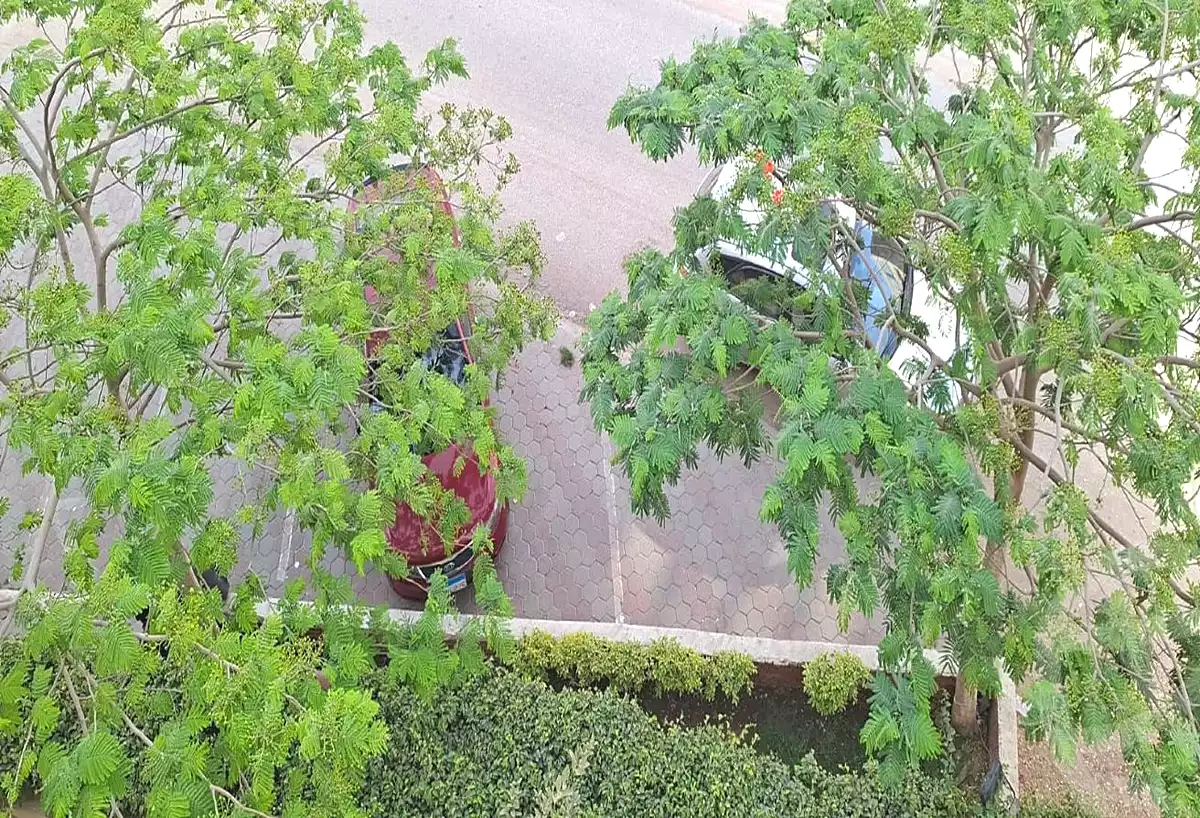 https://aqarmap.com.eg/en/listing/7134188-for-sale-cairo-new-cairo-first-settlement-mhwr-mstfy-kml