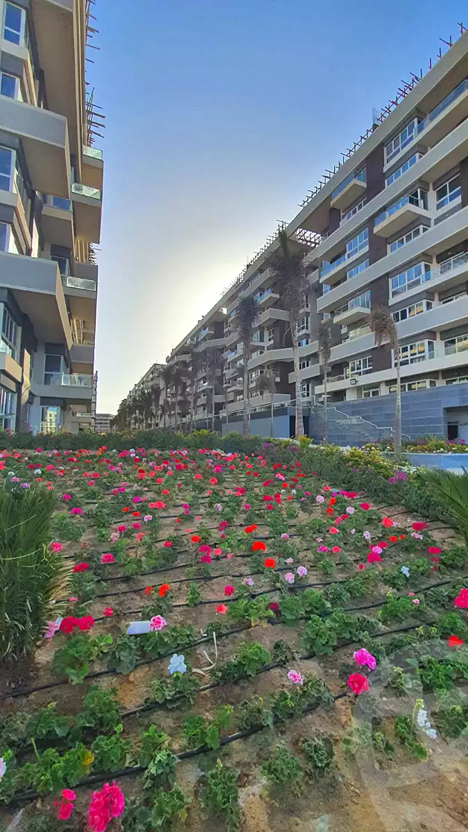 https://aqarmap.com.eg/en/listing/7134618-for-sale-cairo-new-administrative-capital-r7-scenario