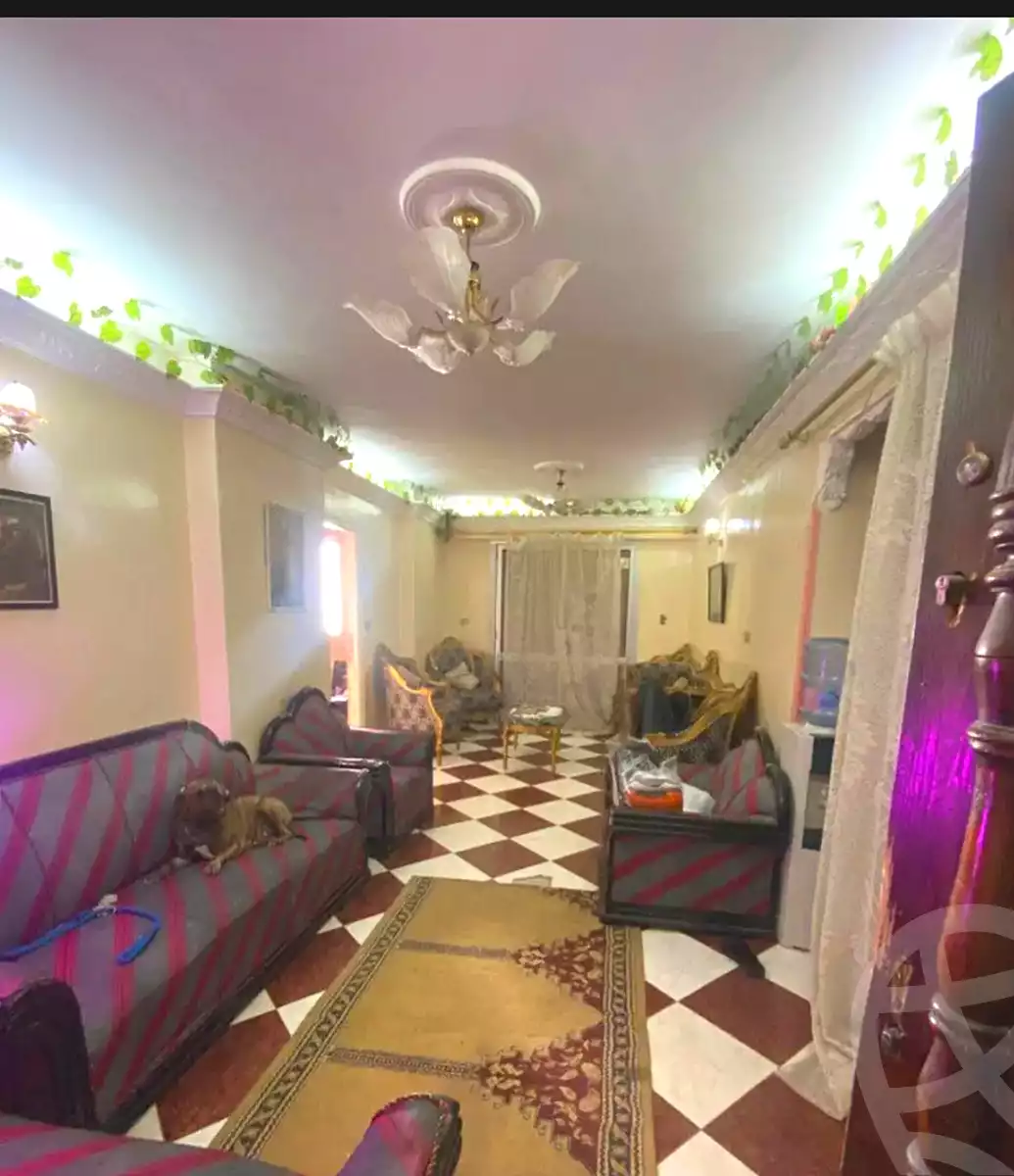 https://aqarmap.com.eg/ar/listing/7138637-for-sale-alexandria-miami-mahmoud-el-isawy-st